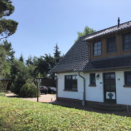 Haus Hugo Zingst Apartment Luaran gambar